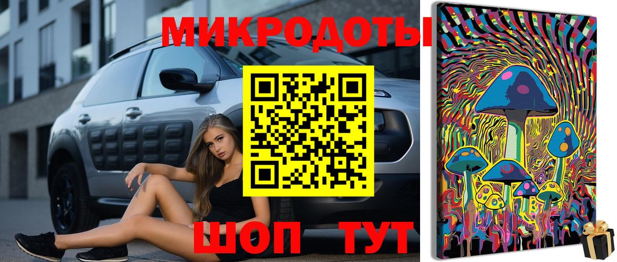 Галлюциногенные грибы Psilocybe Чайковский